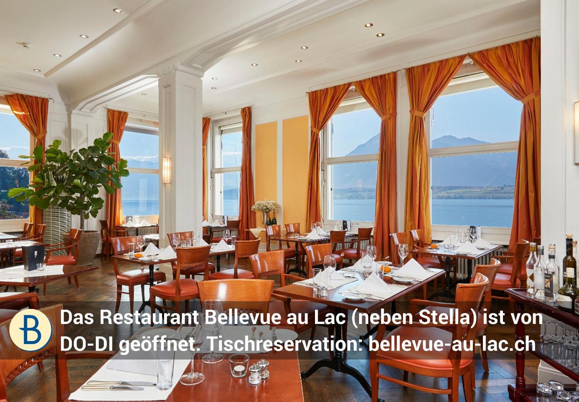 Dependance Stella Del Lago By Hotel Restaurant Bellevue Au Lac Θουν Εξωτερικό φωτογραφία